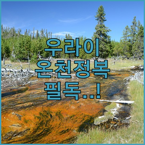 타이베이 근교 우라이 가는 법부터 온..