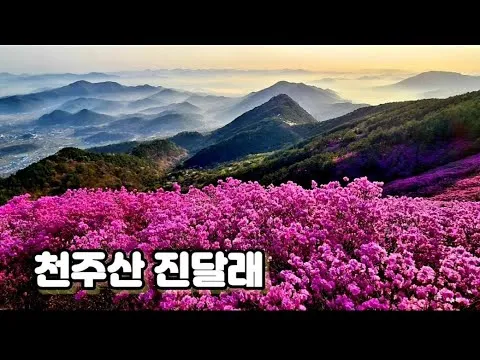 천주산 진달래축제 등산코스 맛집_1