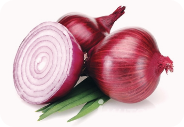 고지혈증에-좋은-음식