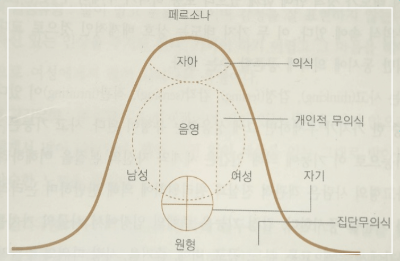 융 이론의 성격구조