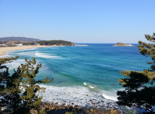 봄에 떠나기 좋은 국내 여행