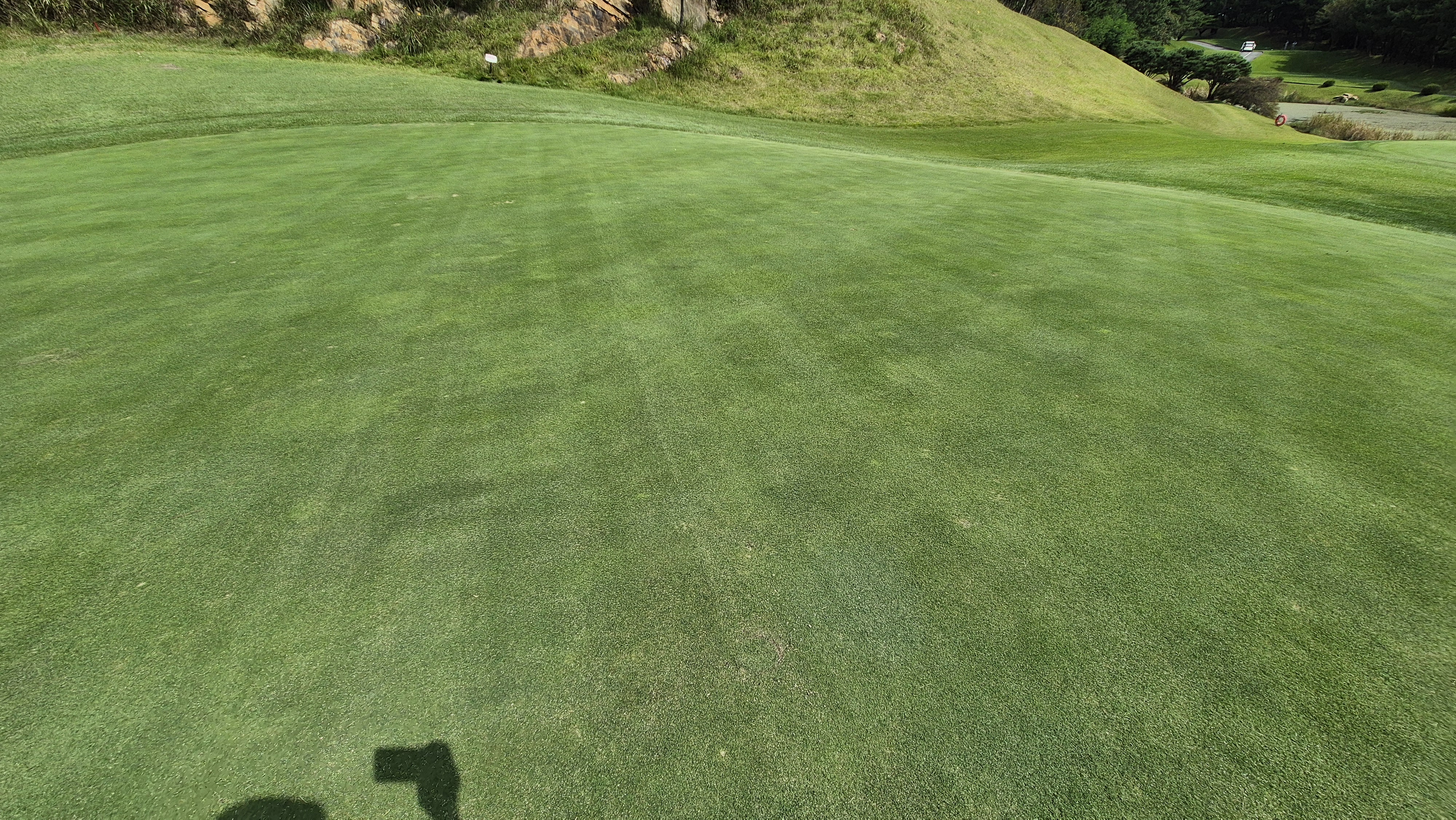 서산수cc 그린 관리 상태