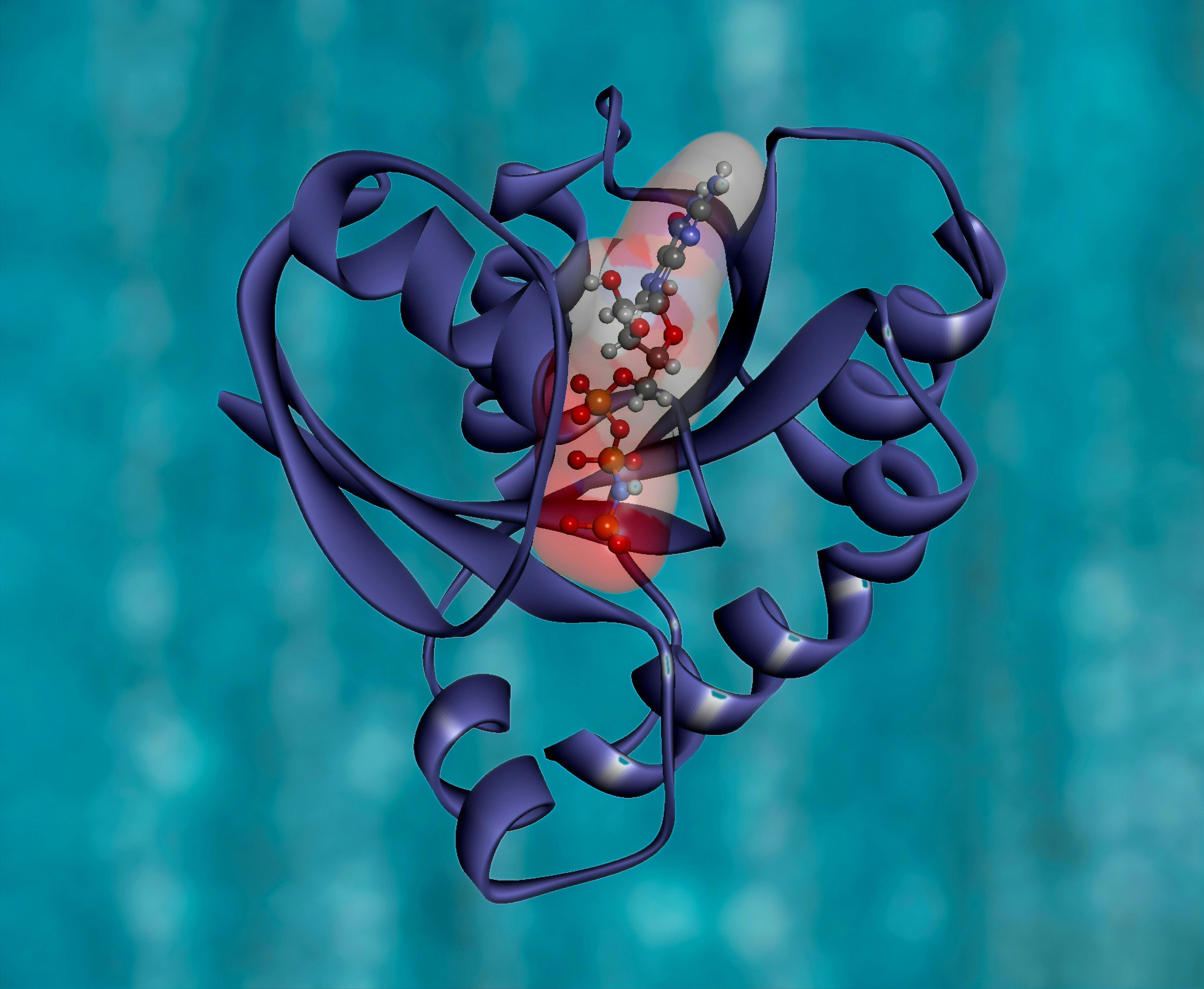 파킨슨병 8가지 초기 증상 및 치료제 (+ 수명 장애등급 말기증상)