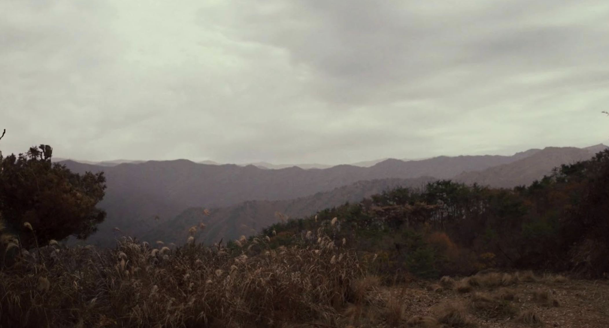 파묘 넷플릭스 OTT 해외 반응 리뷰