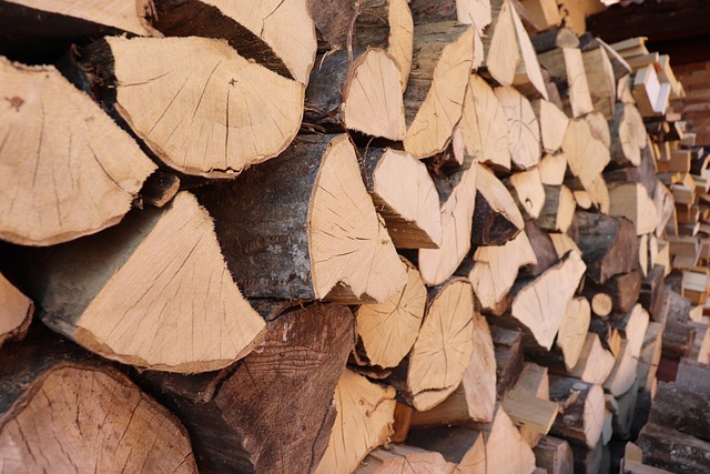 난방비 지원 에너지 바우처 관련 사진