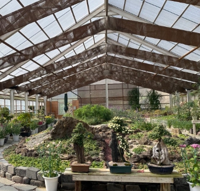 옥천/핫플레이스/대청호/천상의/정원/수생학습식물원