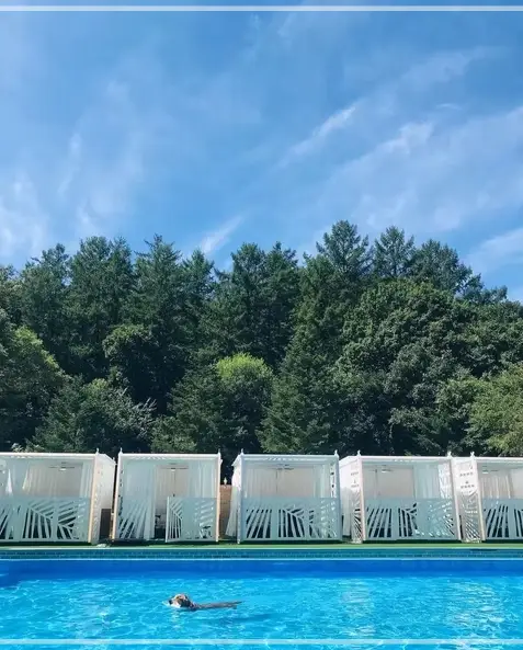 집-나가면-개호강-장소-팔레드-차밍-애견-동반-리조트