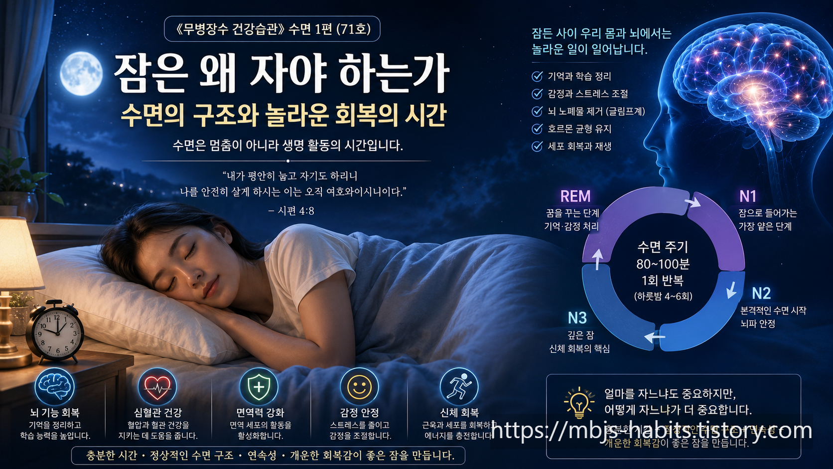 잠은 왜 자야 하는가 — N1·N2·N3 비렘수면과 렘수면의 구조, 뇌 기능·심혈관·면역·감정·신체 회복을 보여주는 수면 이미지