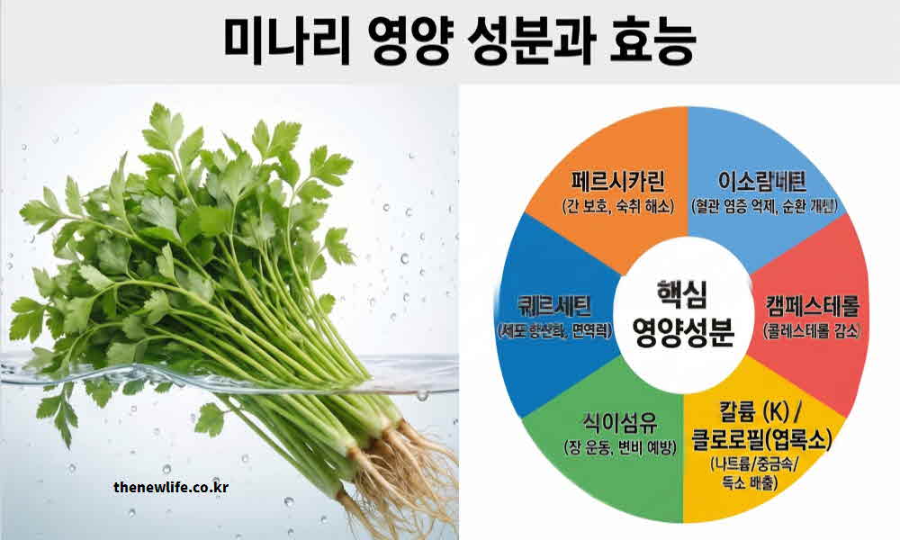 미나리 효능 영양성분