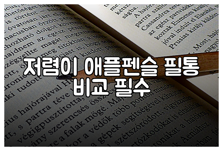 저렴이 애플펜슬 필통 비교 필수