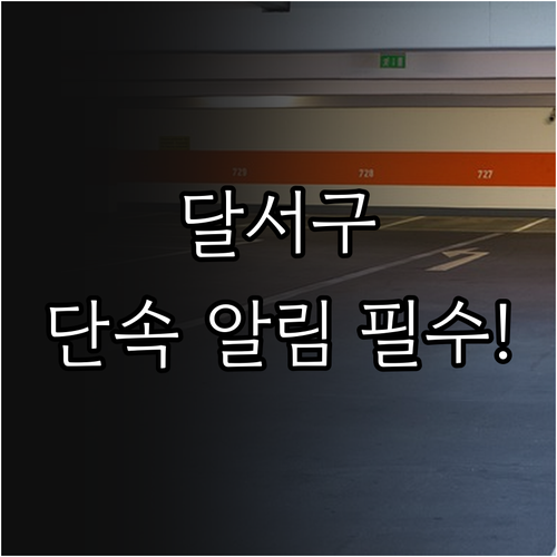 대구 달서구 주정차 단속 알림 서비스..