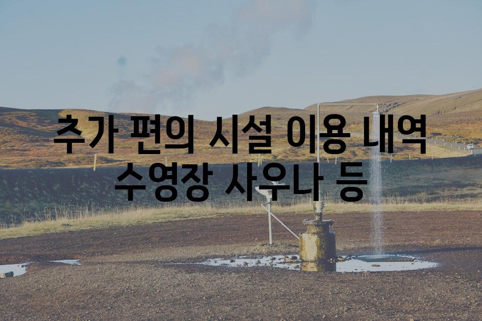 추가 편의 시설 이용 내역 수영장 사우나 등