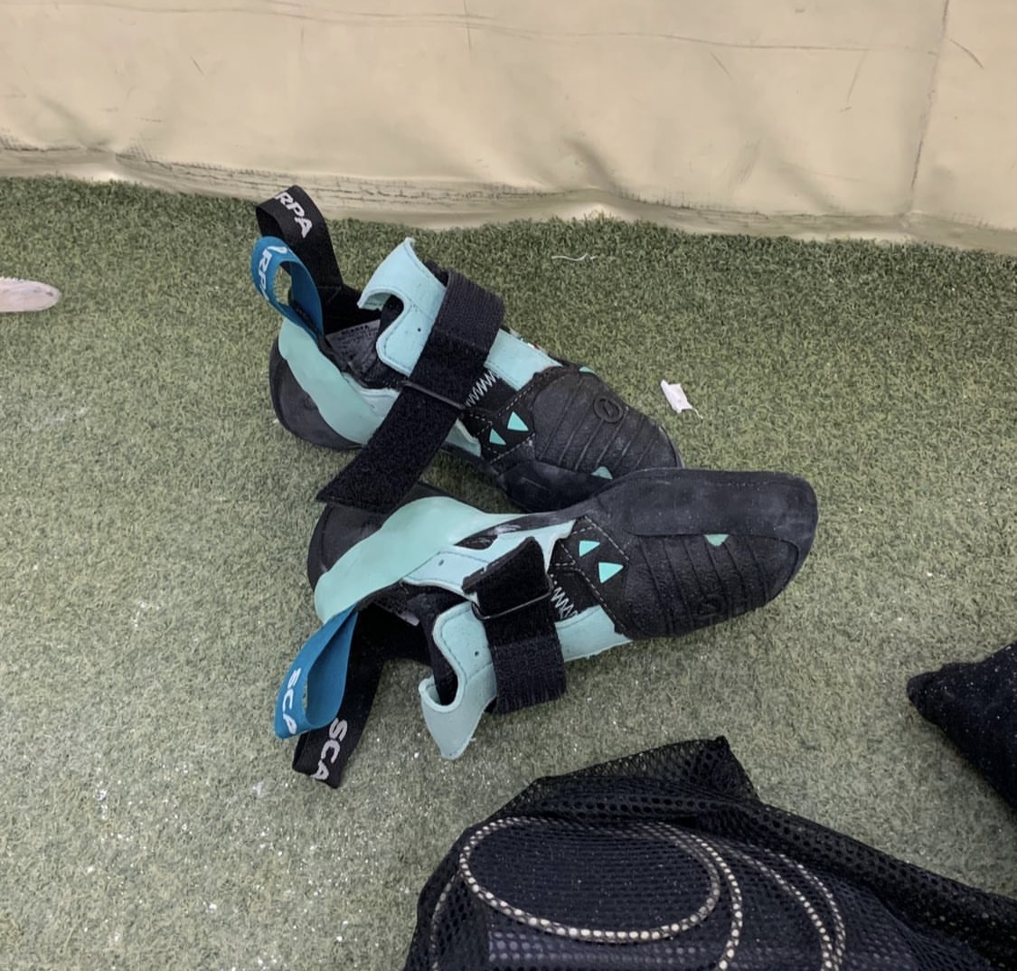 스카르파 vsw 암벽화