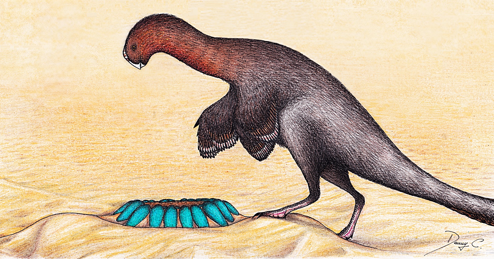 오비랍토르의 상상 복원도