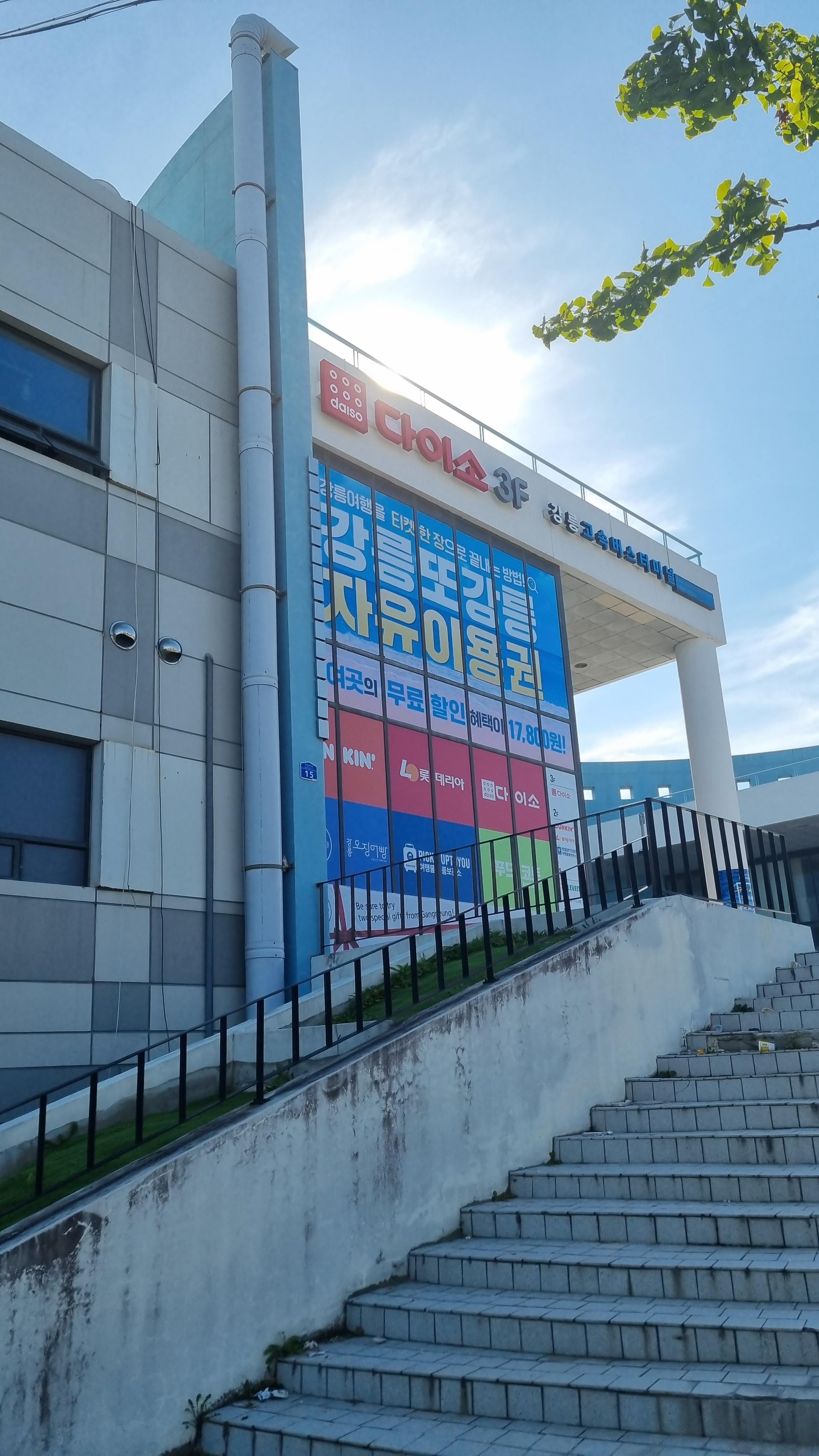 강릉 터미널 위치 택시 버스 예약 현장 구입 다이소 식당 맛집 휴게공간