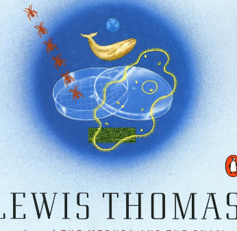 세포가 살아있는 이야기의 세포사진이다.