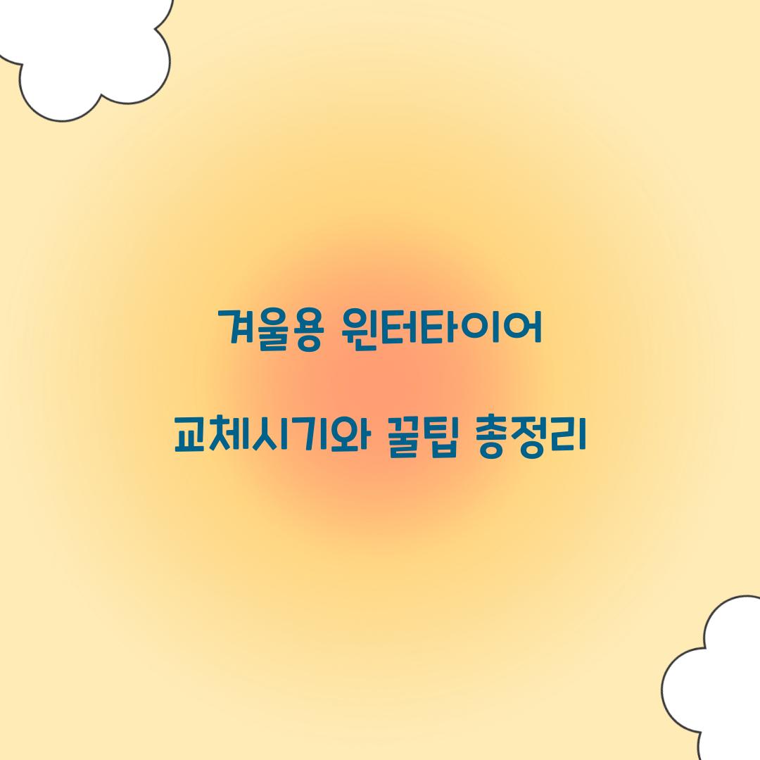 겨울용 윈터타이어 교체