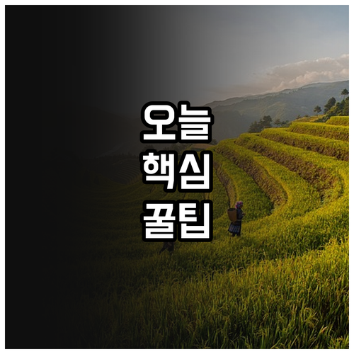 계양구 아빠 주목 2025 육아휴직 ..