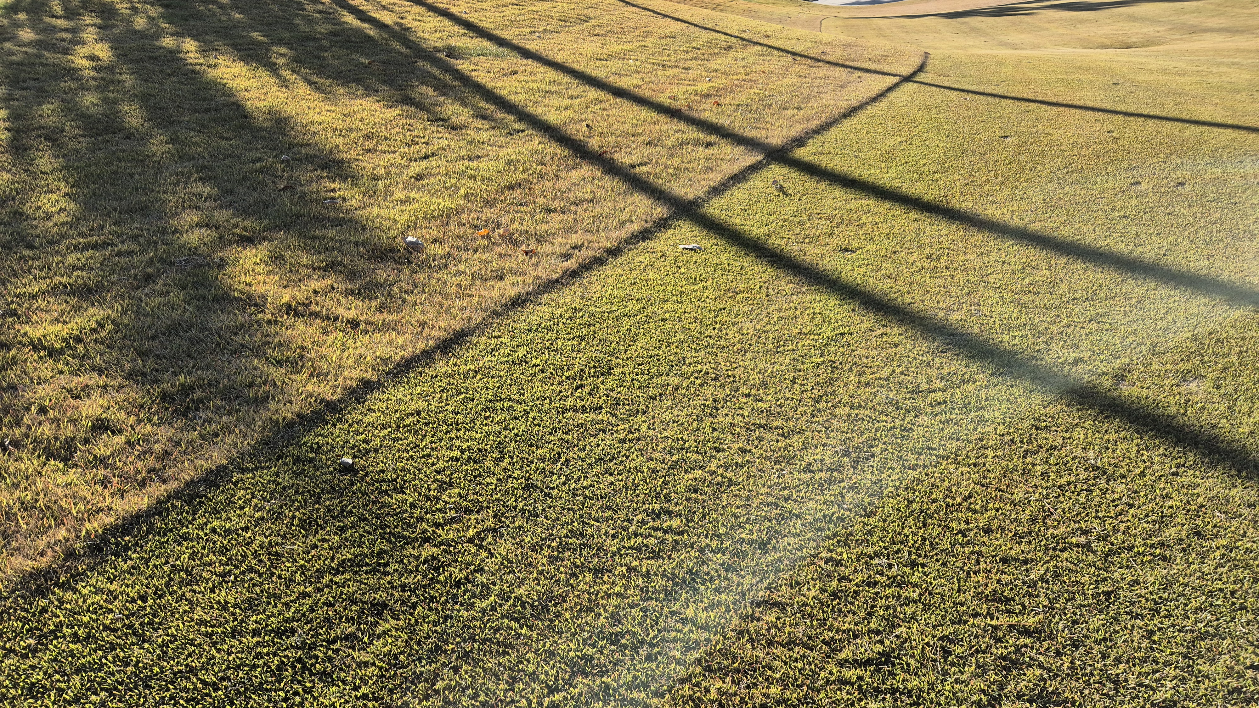 레이캐슬cc 코스 관리 상태