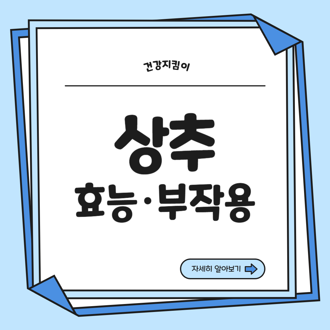 상추의 기막힌 효능 부작용 영양성분