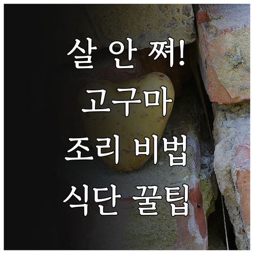 고구마 칼로리 낮추는 찌는 법과 식단..