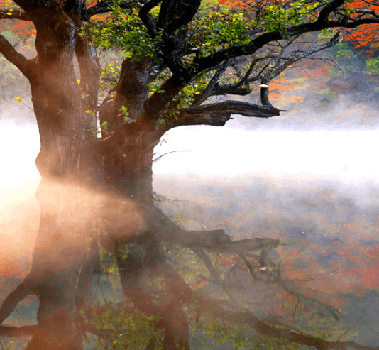 단풍여행 단풍트레킹 당일버스 여행