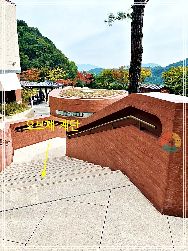 화담채_화담채건물계단-단풍나무-산-푸른하늘