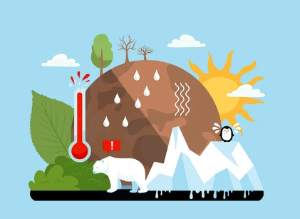 기후 변화와 식품 혁신: 변하는 농업 환경 속 새로운 작물