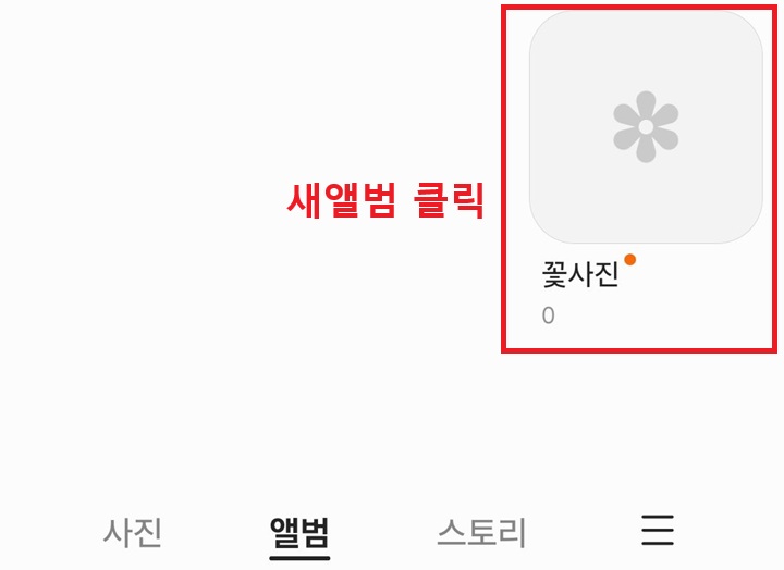 새 앨범 보임