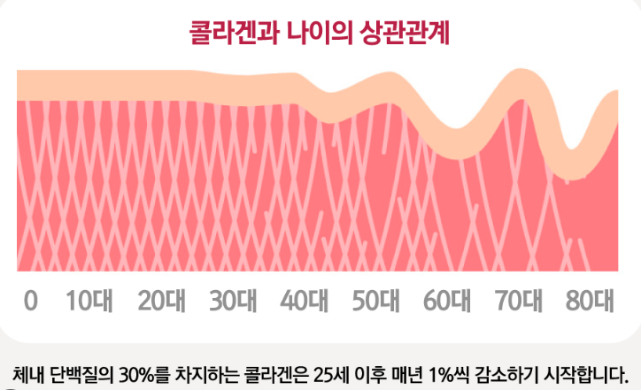 콜라겐 보충제가 효과적인가(2)