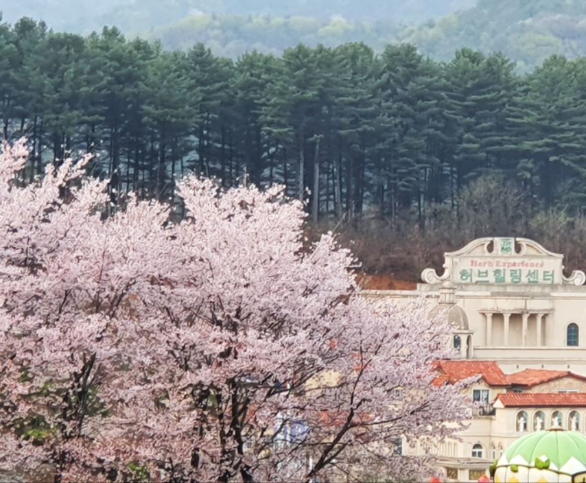 포천 허브아일랜드
