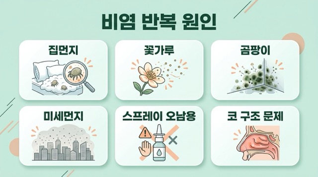 염이 반복되는 원인 집먼지진드기 꽃가루 곰팡이 미세먼지 구조 문제