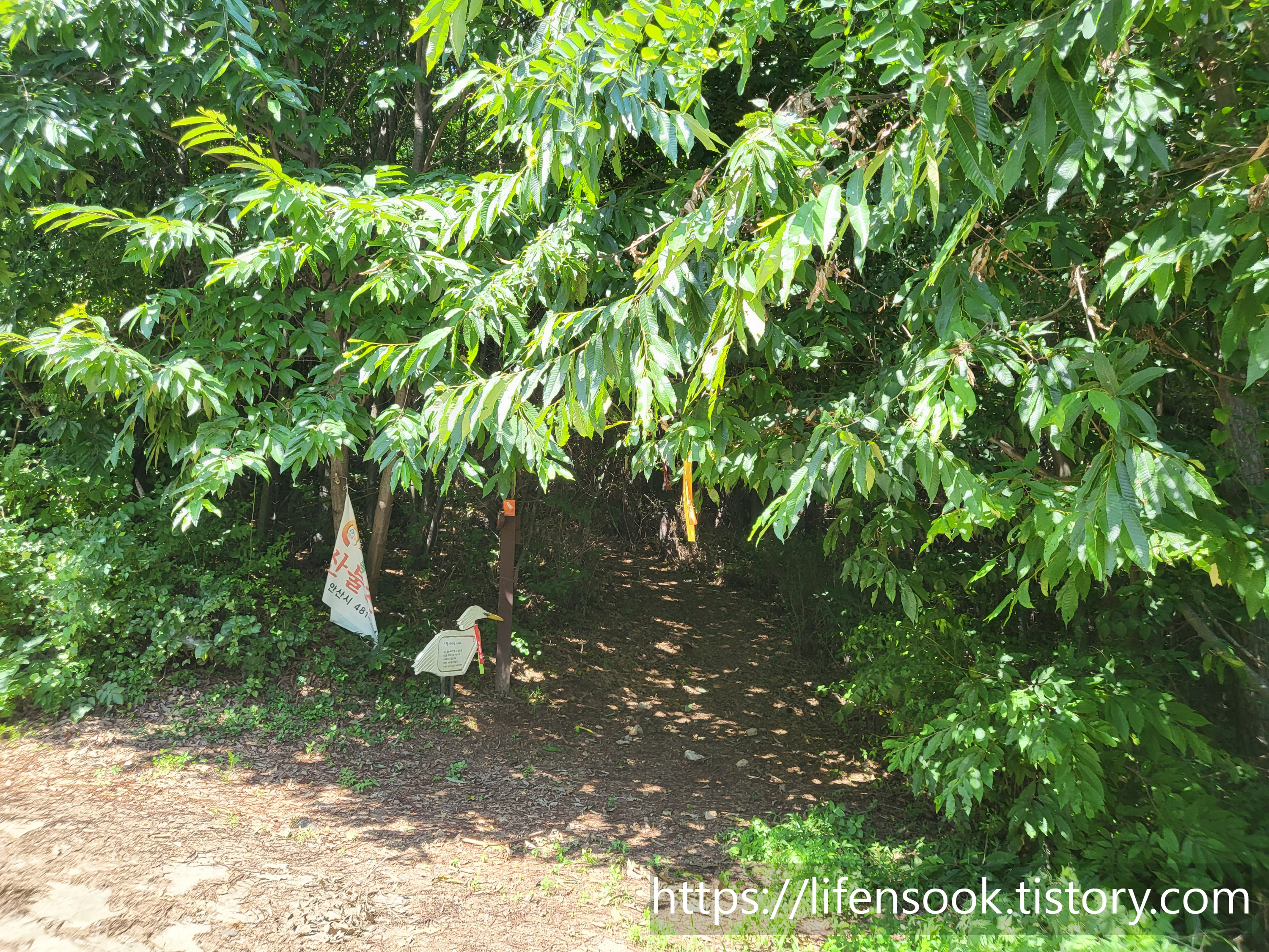 대부해솔길 3코스 노랑부리백로 이정표 1