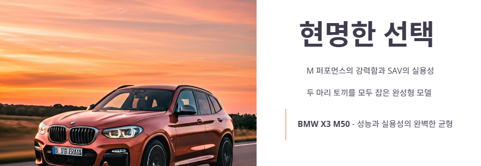 구매 전 필독! 장단점 분석