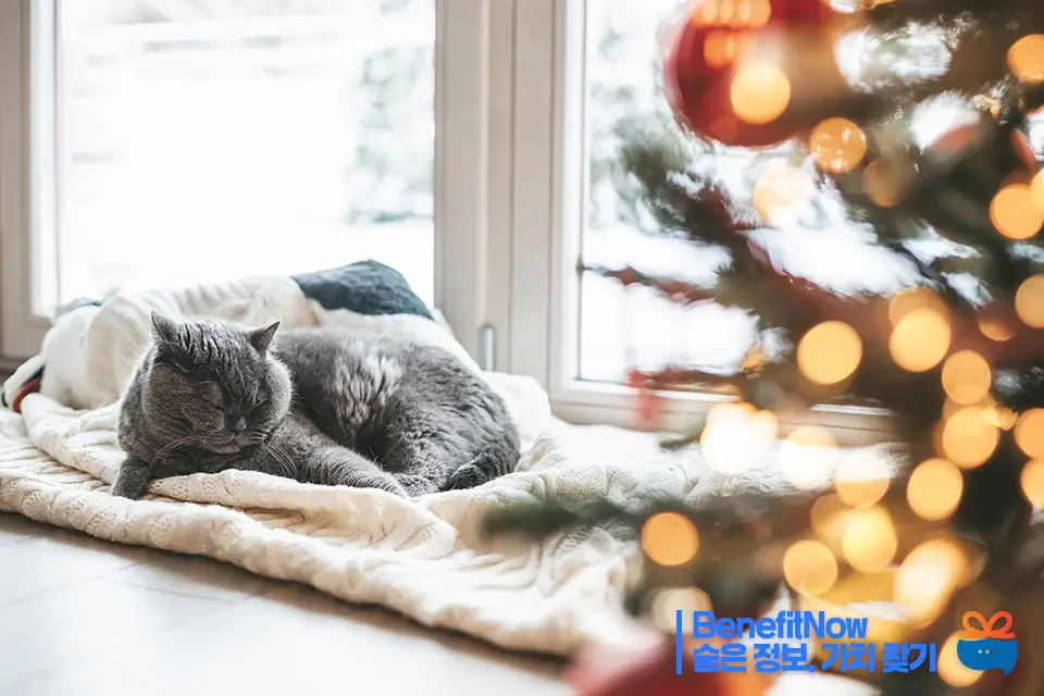 에너지 바우처 신청방법