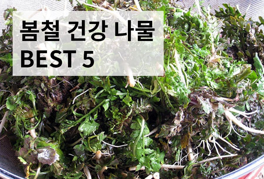 봄철 건강 나물