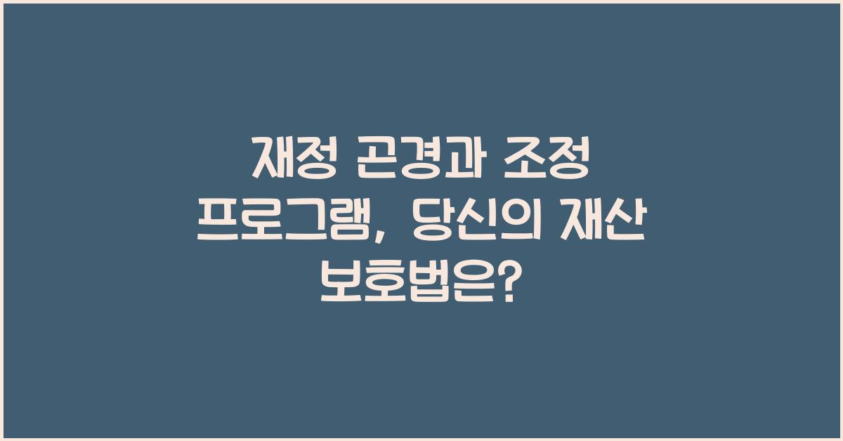 재정 곤경과 조정 프로그램