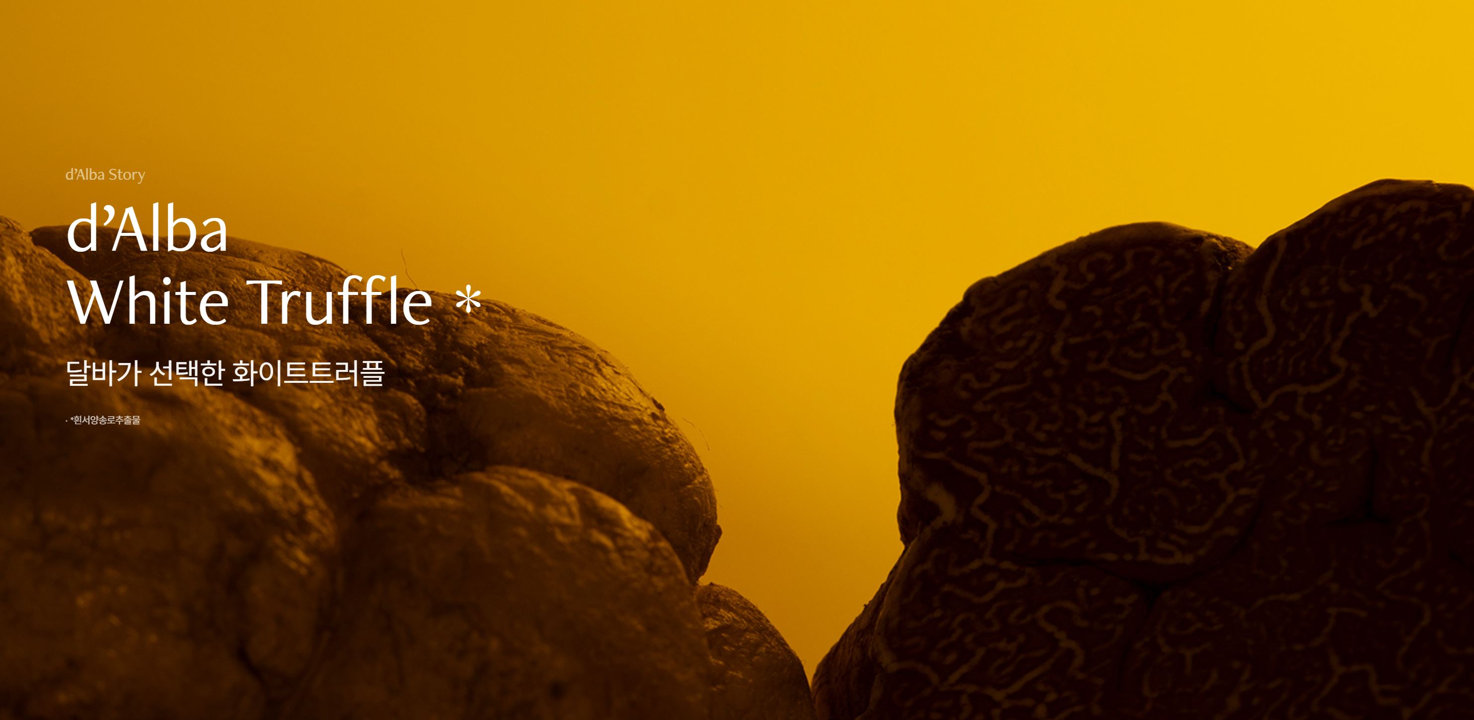 달바글로벌 수요예측결과 공모주 투자포인트