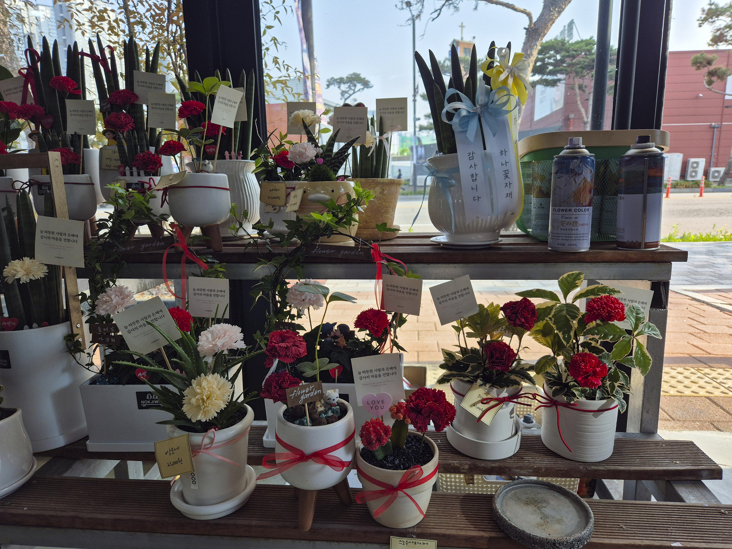 일산 꽃집 사와플라워 내부 모습