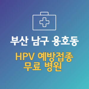 부산 남구 용호동 HPV 예방접종 무료 병원