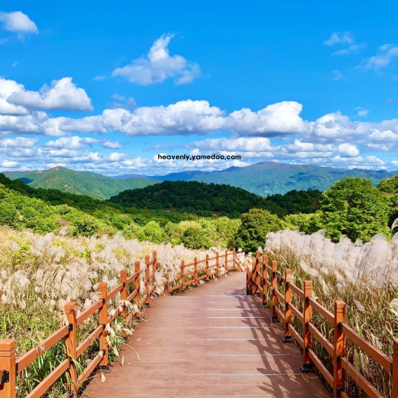 철원 가볼만한곳