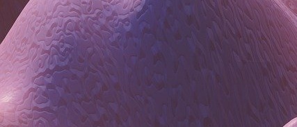 2025 노인 장기요양등급 신청