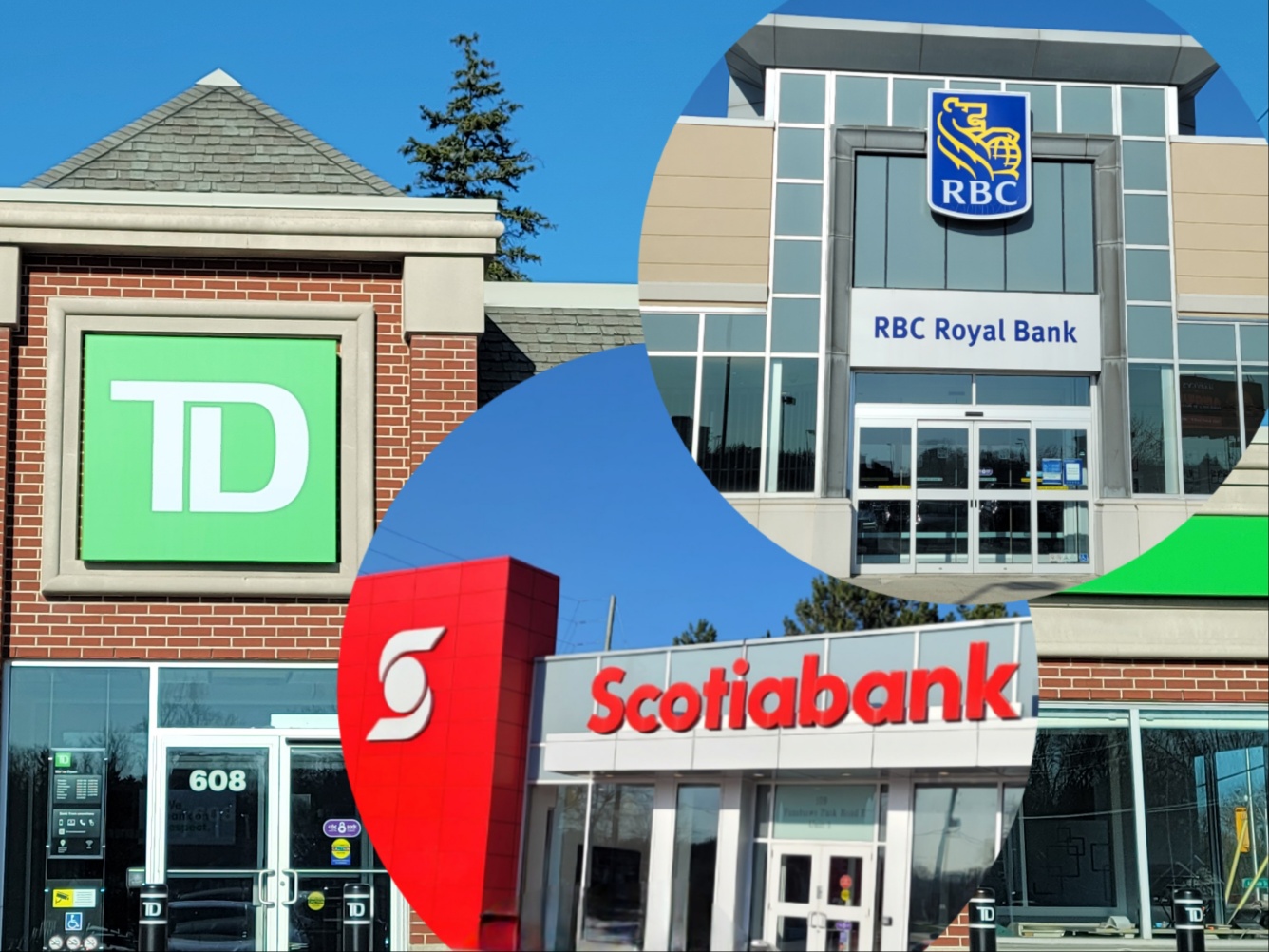 팬쇼컬리지 유학생 가족을 위한 은행 계좌 개설 가이드: 런던 캐나다-TD, RBC, Scotiabank