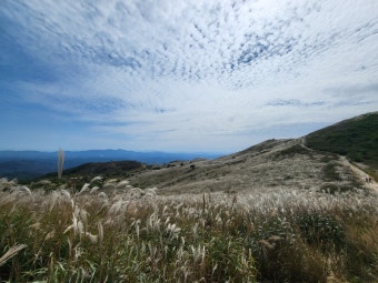 황매산 억새축제