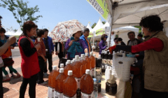 옥천참옻순축제