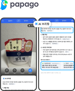 네이버 파파고 번역 파파고 이미지 검색 AI 브리핑