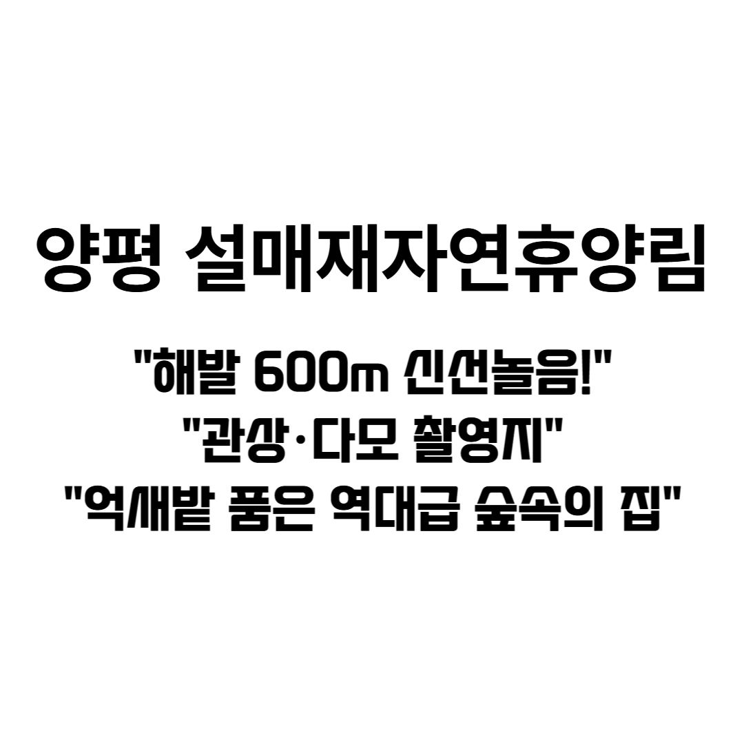 설매재자연휴양림