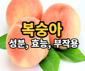 복숭아