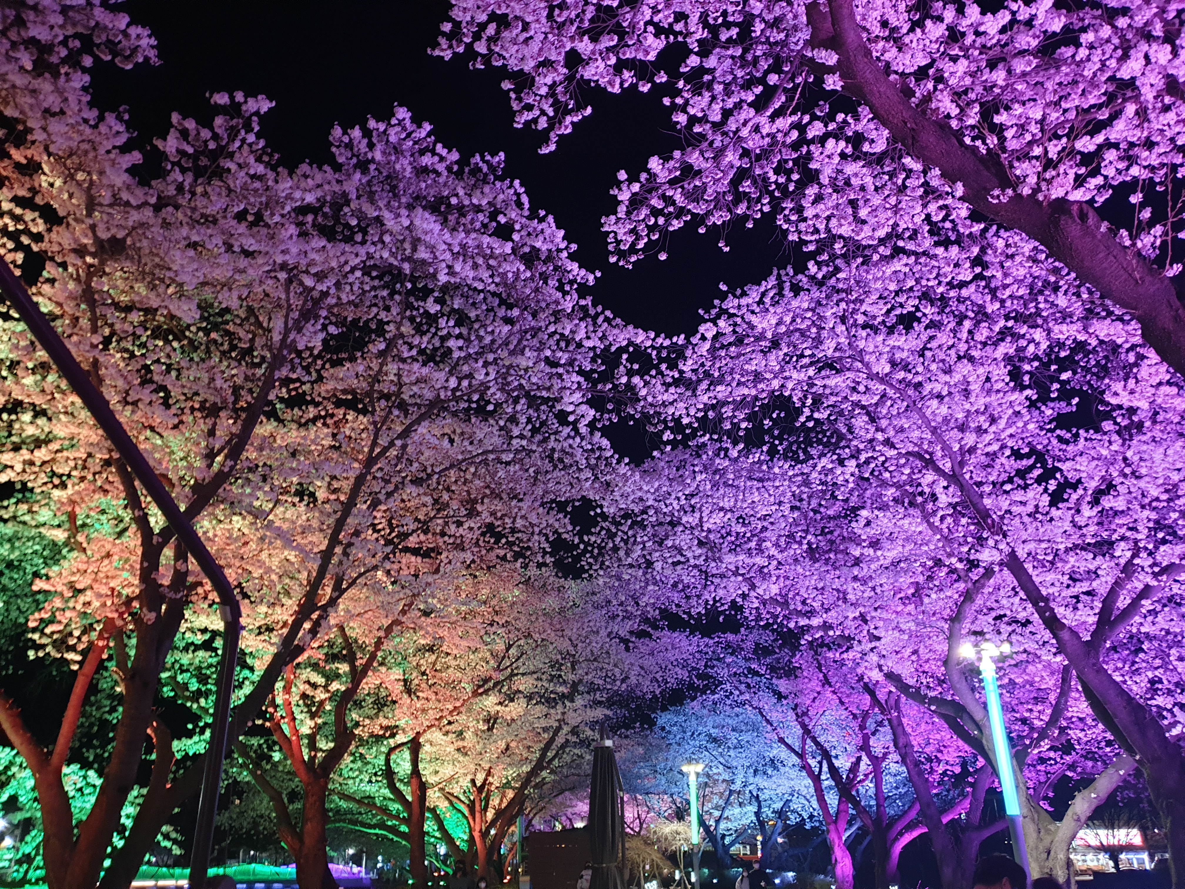 충주 데이트 여행지