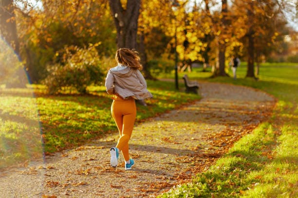 운동이 뇌를 바꾼다: 신경 가소성과 유산소 운동